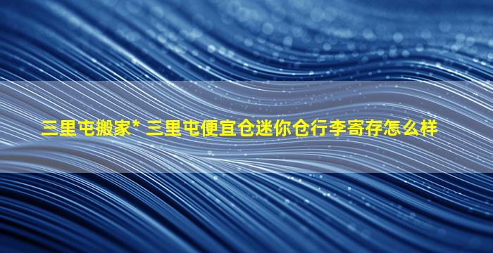 三里屯搬家公司 三里屯便宜仓迷你仓行李寄存怎么样